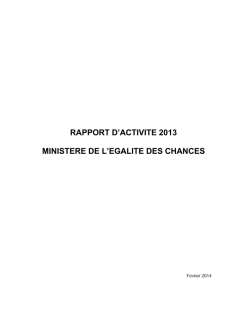rapport 2013